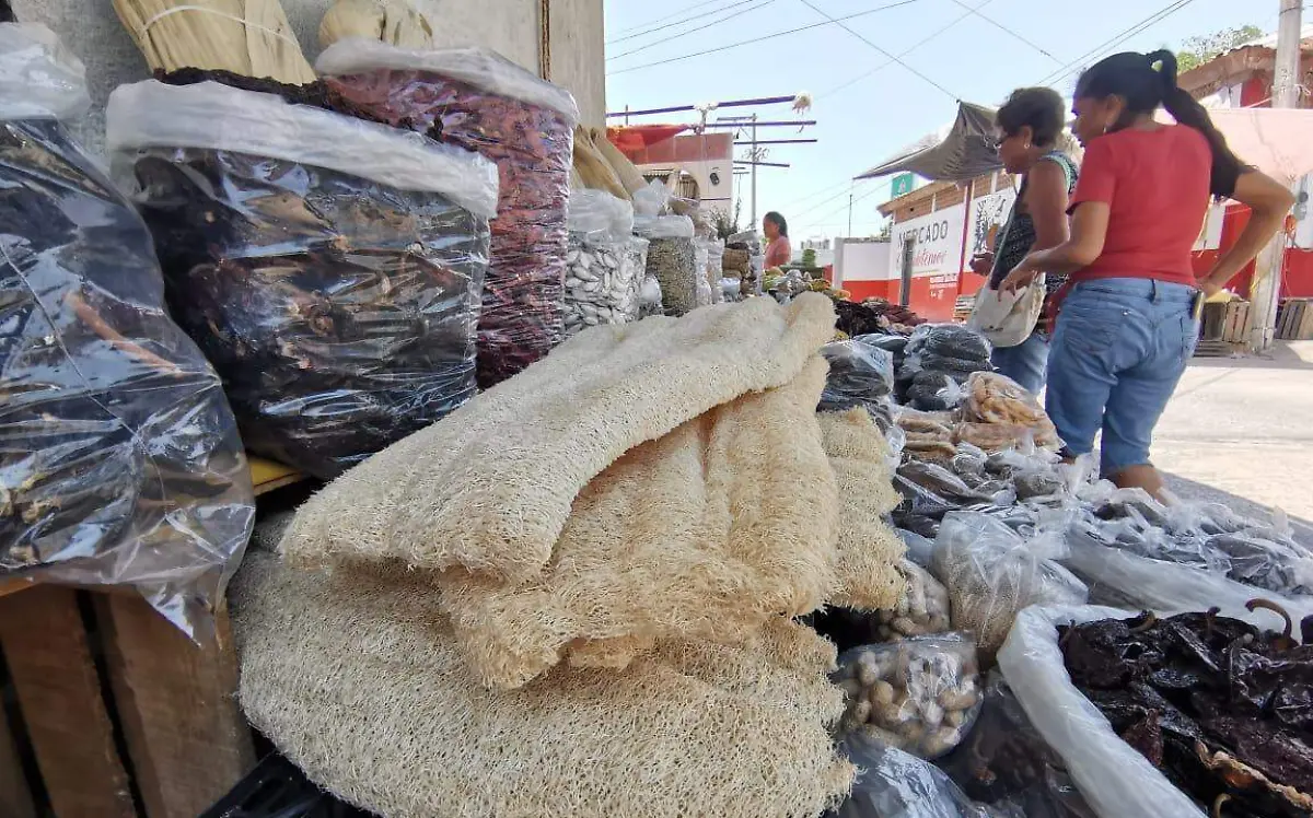 Estropajos naturales, una opción en el cuidado de la piel 